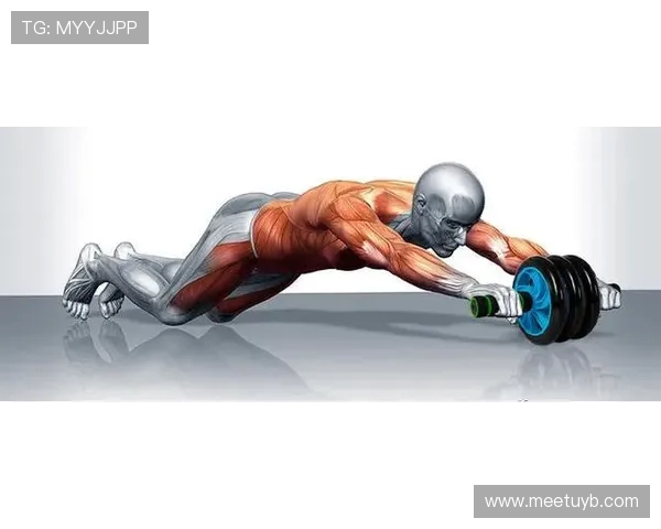 腹肌什么健身器材好用训练器选择指南