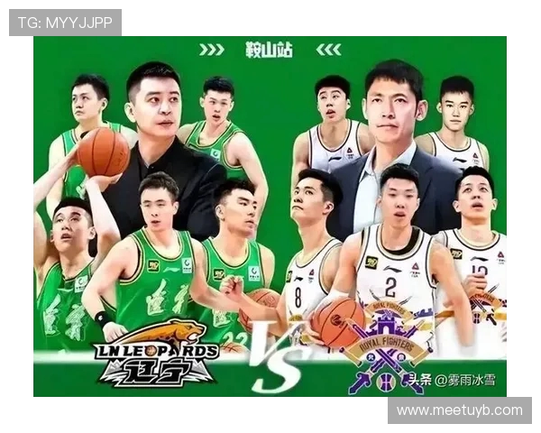 每支CBA球队有多少球员？阵容结构分析