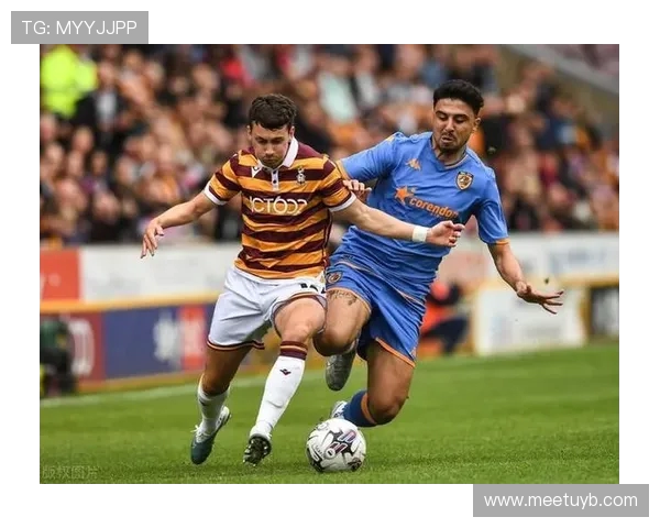 英超赫尔城足球队历届重要球员及其影响力 英超赫尔城足球队历届重要球员及其影响力