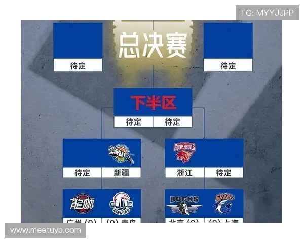 CBA2017赛季积分榜出炉各队争夺季后赛席位形势明朗